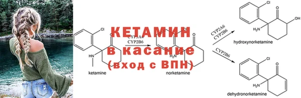 ГАЛЛЮЦИНОГЕННЫЕ ГРИБЫ Михайловка