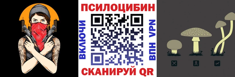 Псилоцибиновые грибы прущие грибы  Купить закладки  Тюкалинск 
