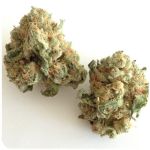 Шишки "White Widow"  (Белая вдова)  Гидропоника -  Бошка VHQ в Тюкалинске